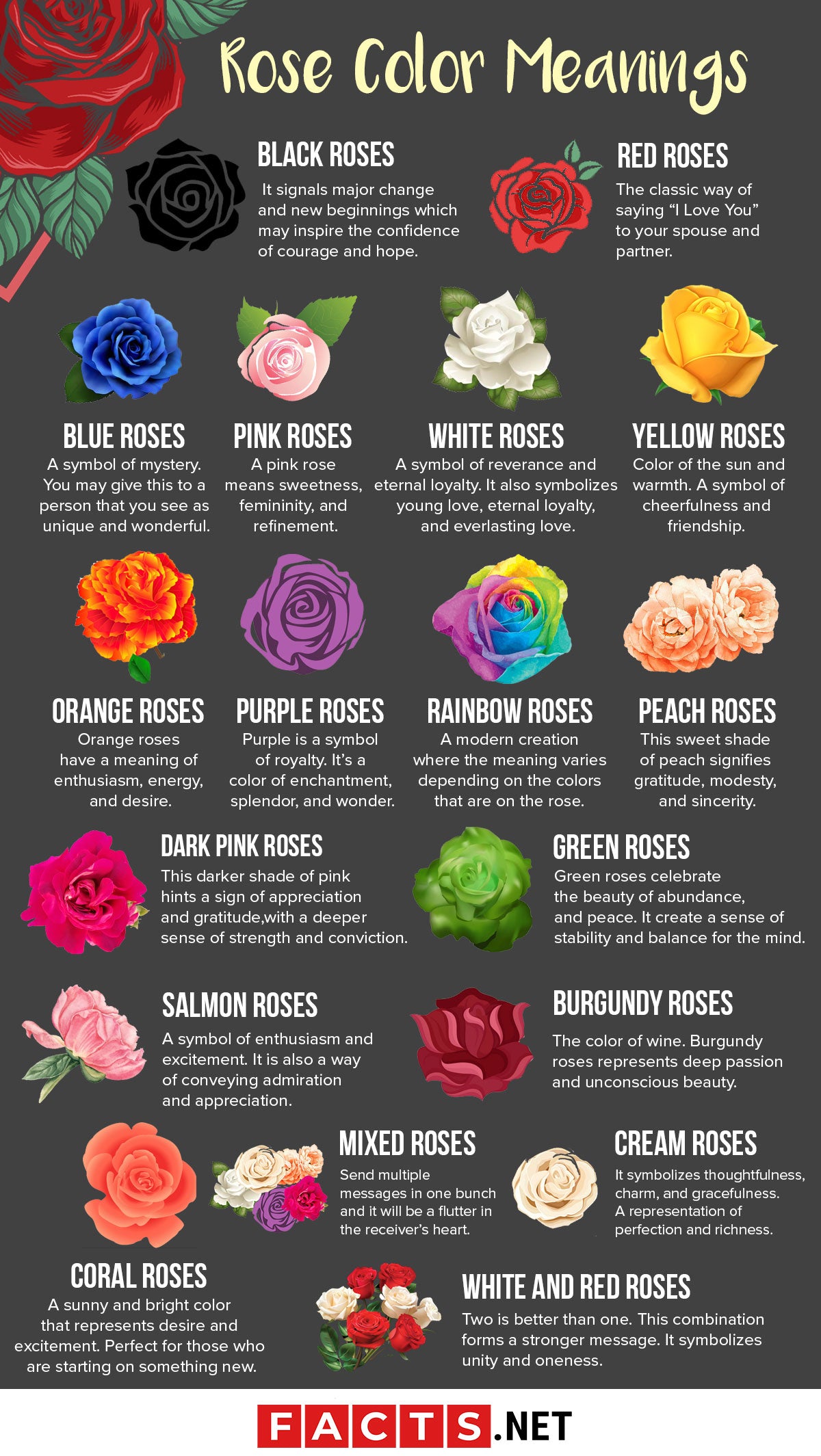 What do different Rose Colors mean? – 33 Petals & Co.