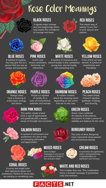 What do different Rose Colors mean?