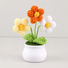 Load image into Gallery viewer, Handmade Woven Flower Pot
