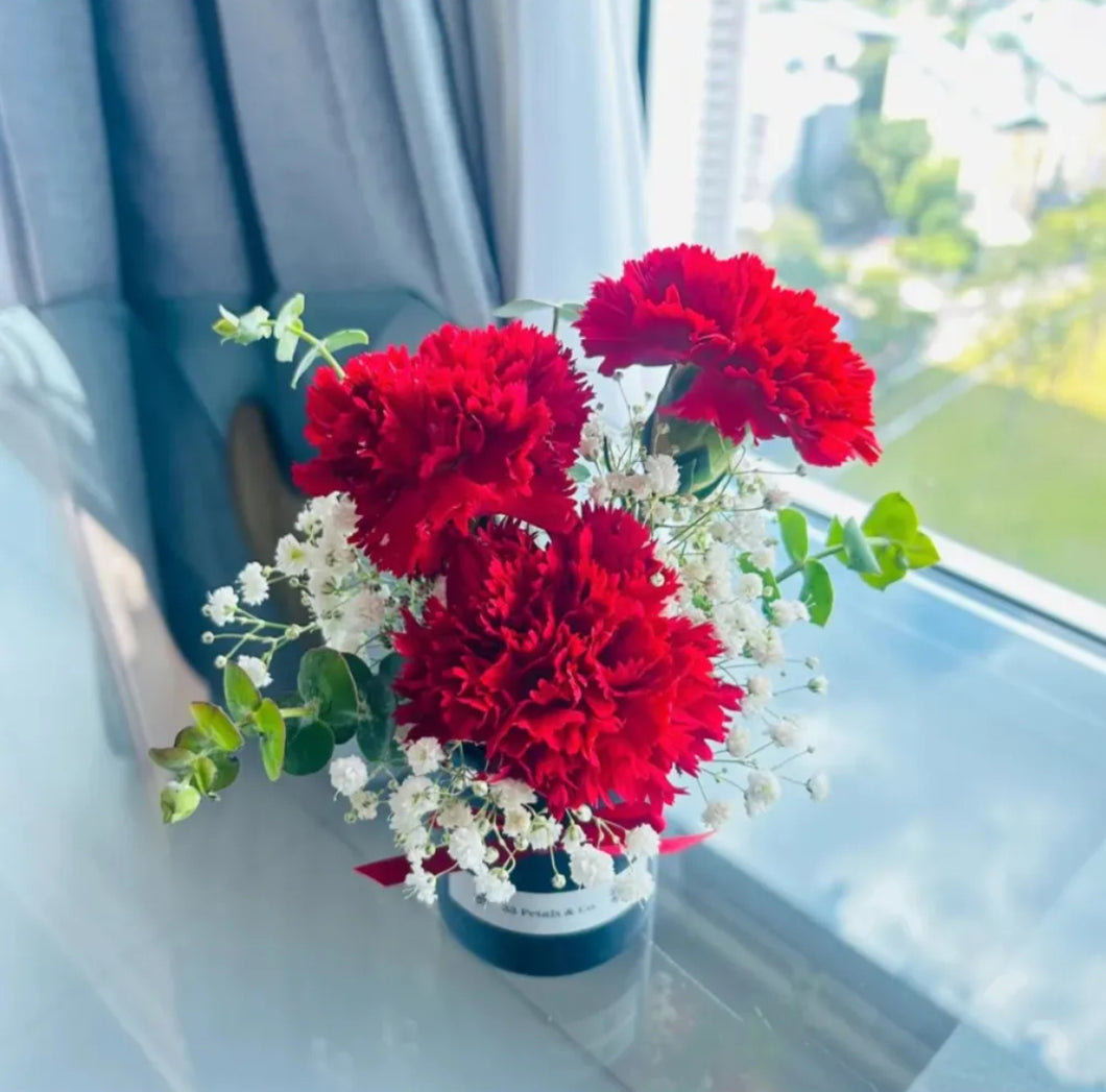 Carnation Mini Box