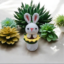 Load image into Gallery viewer, Bunny woven Crochet Pot
