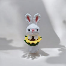 Load image into Gallery viewer, Bunny woven Crochet Pot
