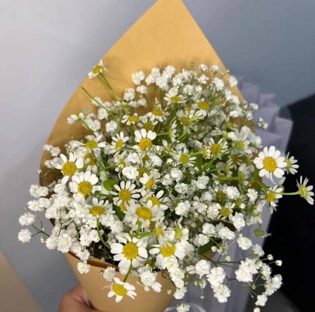 Daisy and Baby Breath Daily Flower