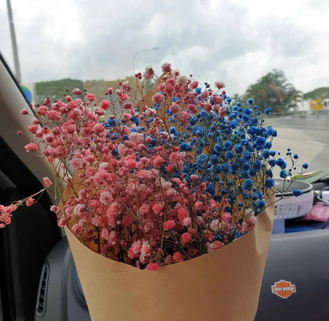 Red & Blue Daily Baby Breath